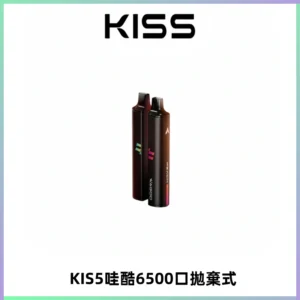 KIS5WAGOO哇酷6500口拋棄式 | 自由混搭雙口味 | 雙芯組合